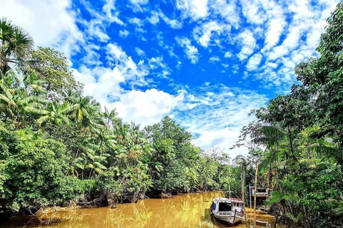 Belém: Guamá River Boat 3 Hours Tour with Optional Stops