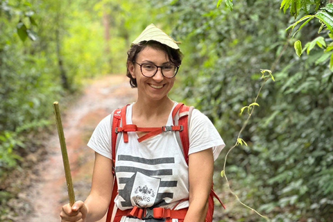 Chiang Mai : Promenade guidée d&#039;une journée dans la zone naturelle de Doi InthanonChiang Mai : Marche guidée d&#039;une journée dans la zone naturelle de Doi Inthanon