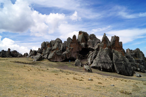 Huaraz: Nevado Pastoruri + Puyas Raymondi-skogen