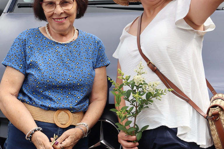 São Miguel: Sete Cidades, Lagoa do Fogo & Furnas - Full Day Tour