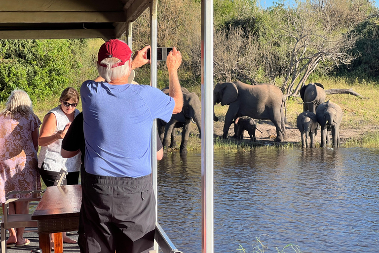 Safari de un día en el Chobe y Safari en barco desde las cataratas Victoria - 8 h