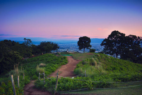 Nara Park: Deer & Healing Forest Guided Tour with Stories