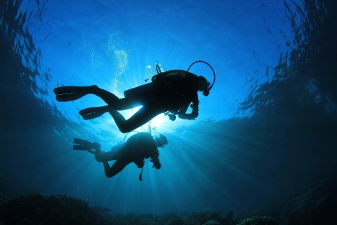 Plongée sous-marinePlongée sous marine