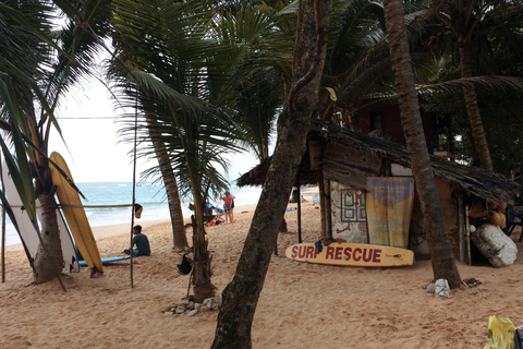 De Colombo: Excursão de 10 dias ao Sri Lanka com guia e hotel