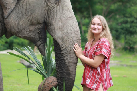 Chiang Mai: Elephant Sanctuary, Waterfall & Bamboo Rafting