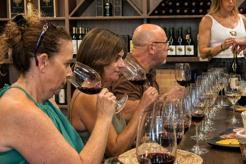 Malaga: Andalusian Wine Tasting with 5 Wines & Local Bites