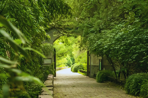 Beijing: Summer Palace Guided Tours & Top Park Combos Private Summer Palace & Old Summer Palace Park Walk Tour