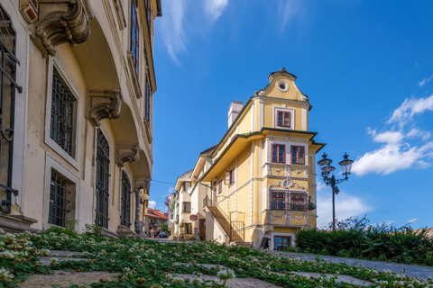 História Judaica da Cidade Velha de Bratislava Excursão a pé particular