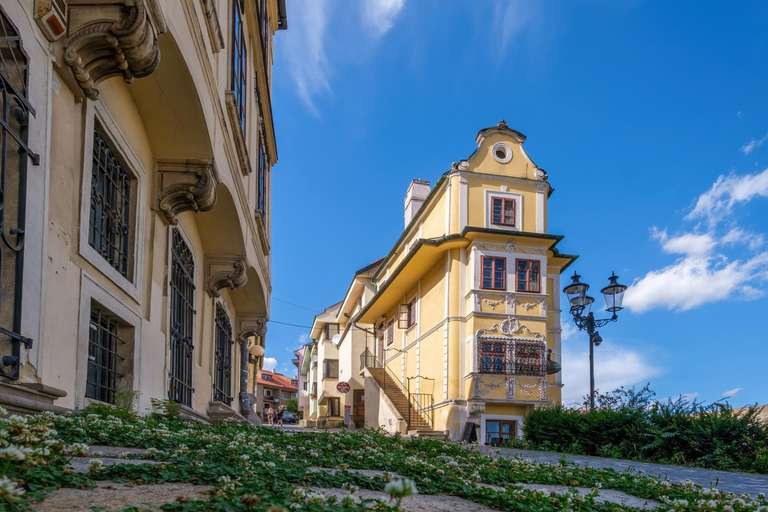 Tour privato a piedi della storia ebraica del centro storico di Bratislava