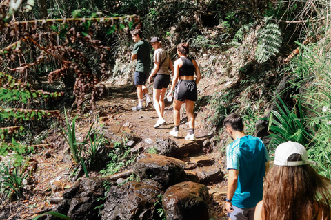 布里斯班：斯普林布鲁克七瀑布与天然桥之旅布里斯班：斯普林布鲁克七瀑布与天然石桥游览