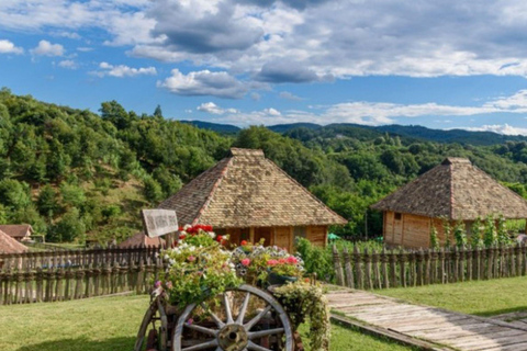 Belgrade: Tršić, Tronoša & Gučevo Private Day Tour