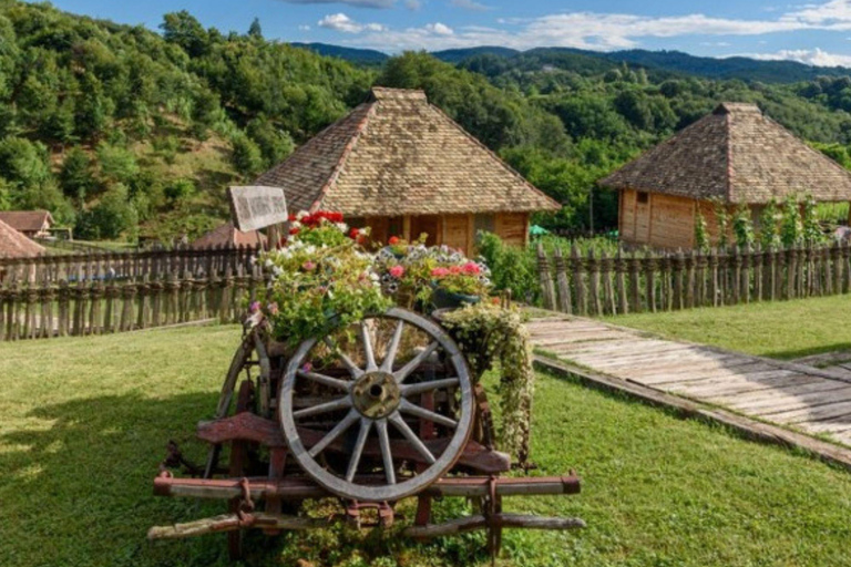 Belgrade: Tršić, Tronoša & Gučevo Private Day Tour