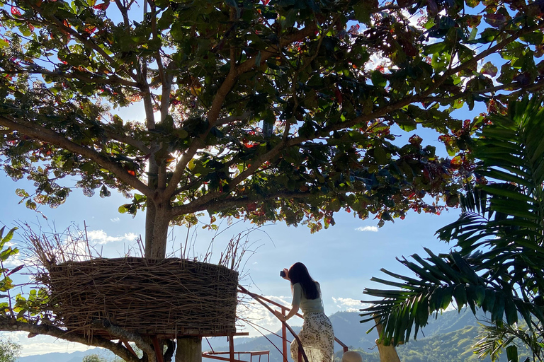 宿雾：Sirao 花园、莉亚神庙和 La Vie 之旅宿务：西劳花园、莉亚神庙和 La Vie 之旅