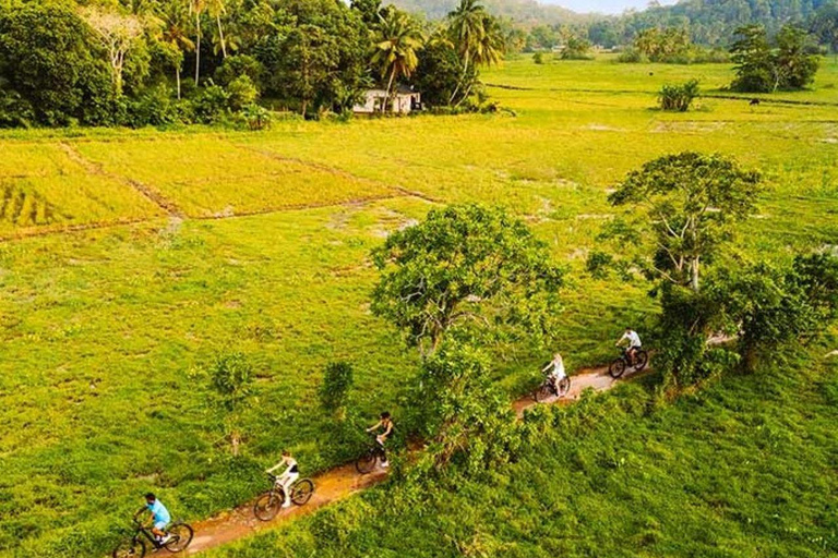Galle: E-Bike Tour with Village Lunch and Local Guide