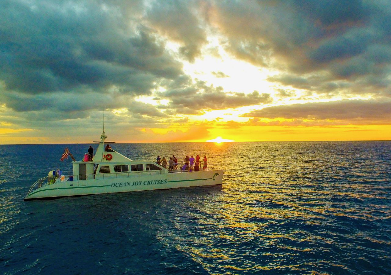 Oahu: Kuratierte Dinner-Bootsfahrt bei Sonnenuntergang mit Whale Watching