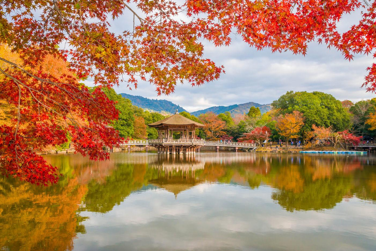 Osaka: Kyoto / Nara Custom Walking Tour in Public Transport
