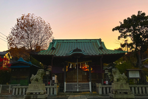 Visiting the former territory of William Adams in Miura