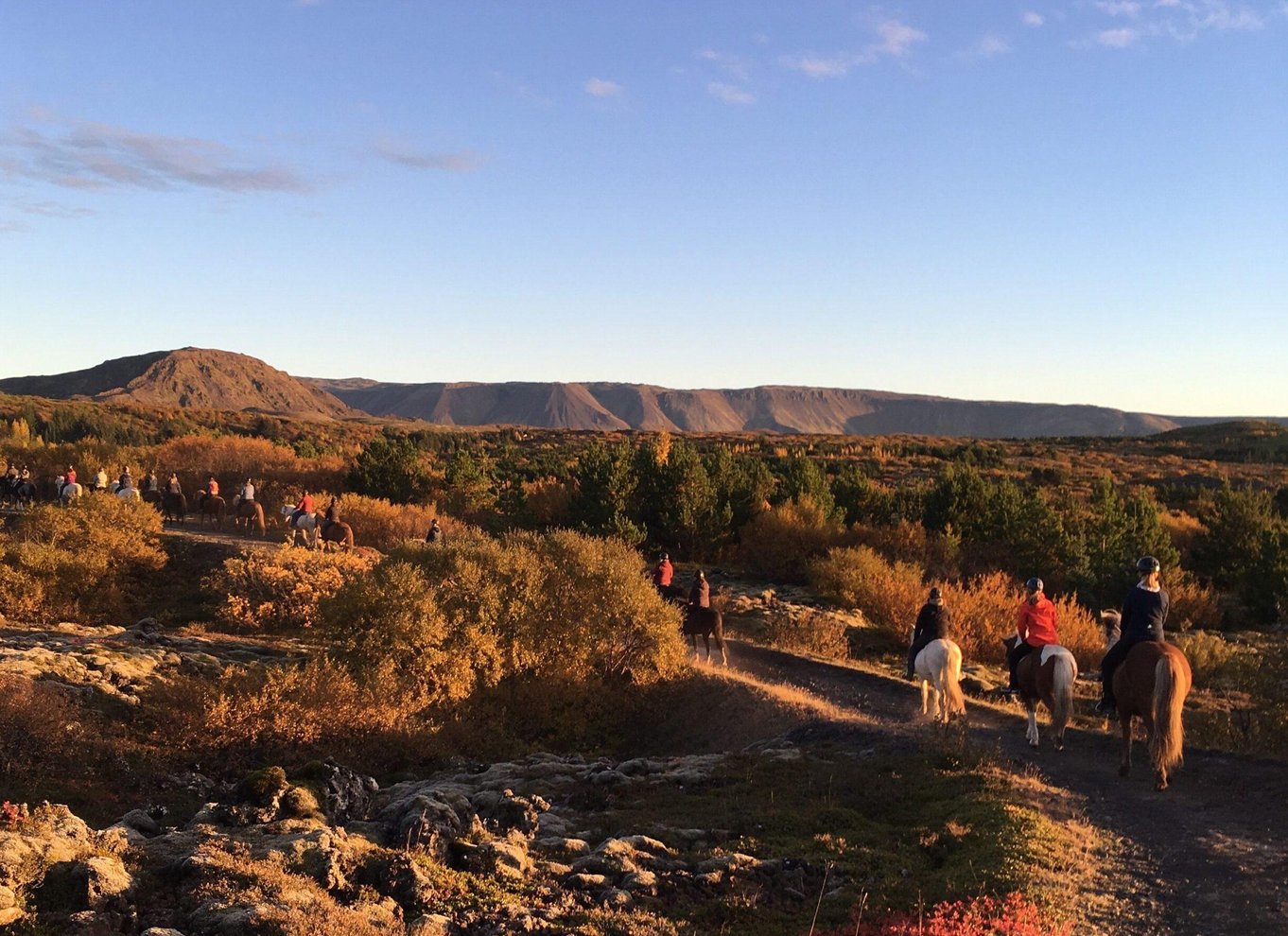 Fra Reykjavík: Islandsk ridetur i lavamarker