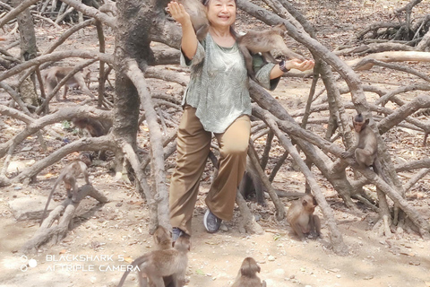 Visite d&#039;une jounée de la forêt de mangroves de Can Gio et de l&#039;île aux singes