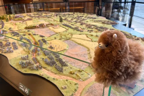 Excursão de meio dia a Waterloo saindo de Bruxelas