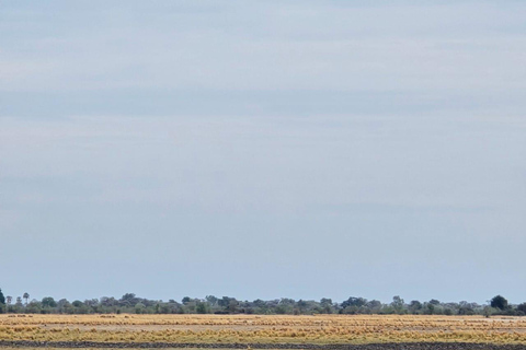Crucero al atardecer por el río Chobe