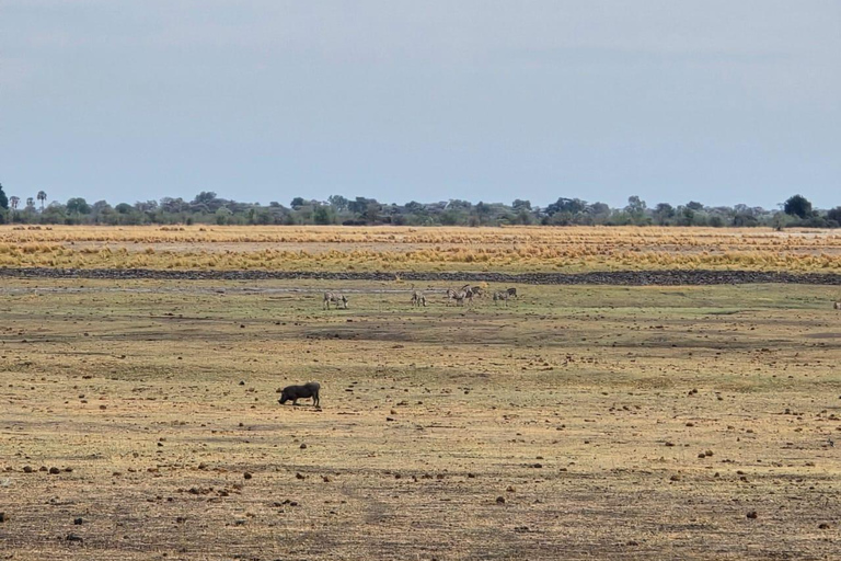 Crucero al atardecer por el río Chobe