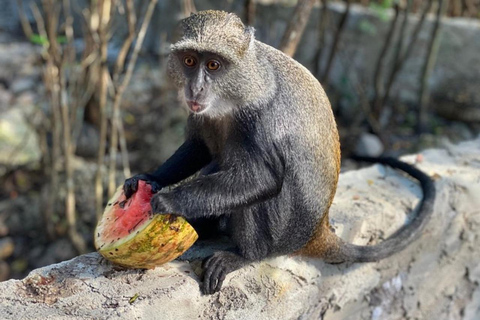 Zanzibar: Nungwi kilosa Conservation zoo half day tour Private tour for the gusts from Nungwi only