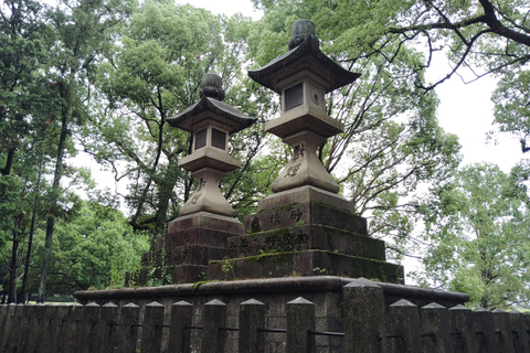 奈良：雾霭中与鹿共行的神圣晨间漫步奈良：雾中与鹿共行的神圣晨间漫步