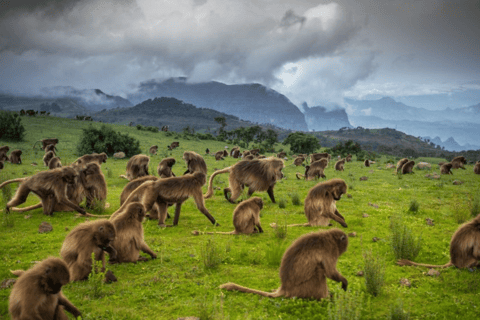 Debre Libanos: Faith, History, and the Portuguese Bridge
