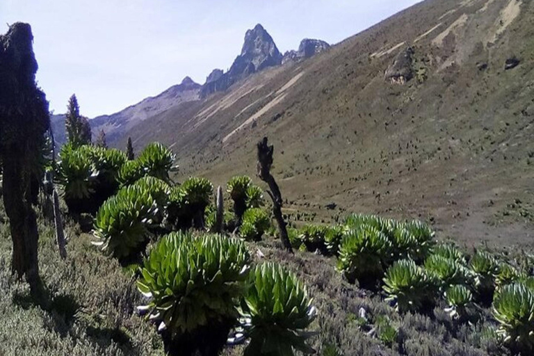 Nairobi: 5-Day Mount Kenya Climbing Tour via Sirimon Route