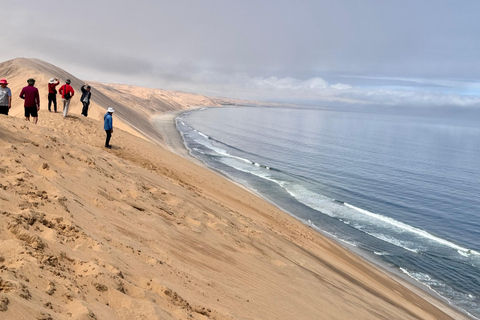 Sandwich Harbour Experience – Where Dunes Kiss the Ocean