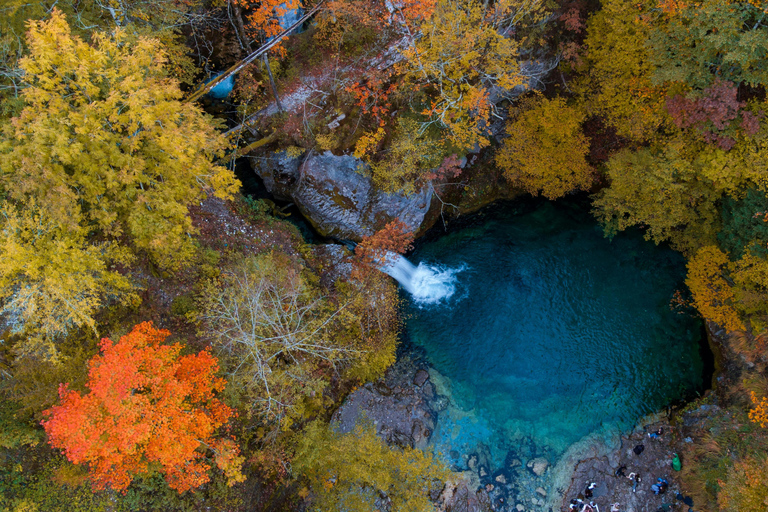 From Tokyo: Nikko Private Full-Day Tour with Driver Nikko Luxury Small group