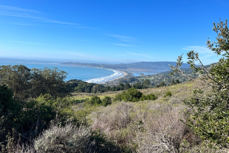 San Francisco: visite privée en voiture de Muir Woods, Sausalito et plus