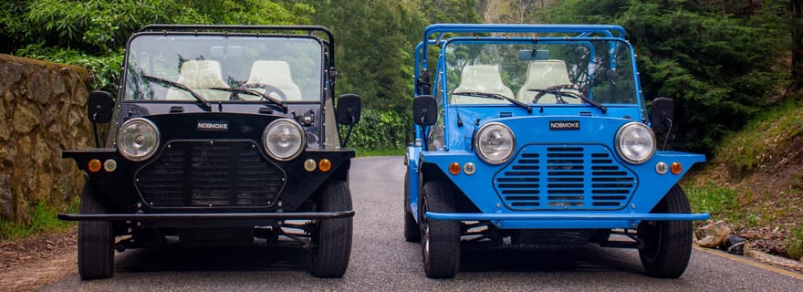 Sintra : Tour en Tuk Tuk électrique d'époque, Palais de Pena 4/5 heures