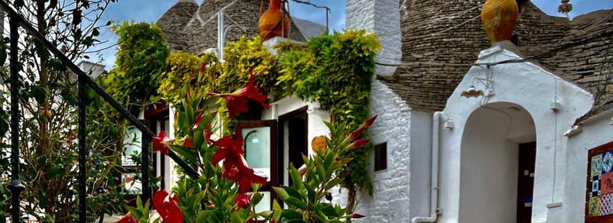 Visite guidée et dégustation par un expert, Alberobello