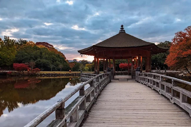 Osaka: Discovering Nara Timeless Grace Guided Tour