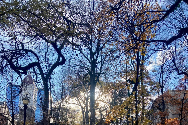 Portland: Best of the City Small Group Walking Tour