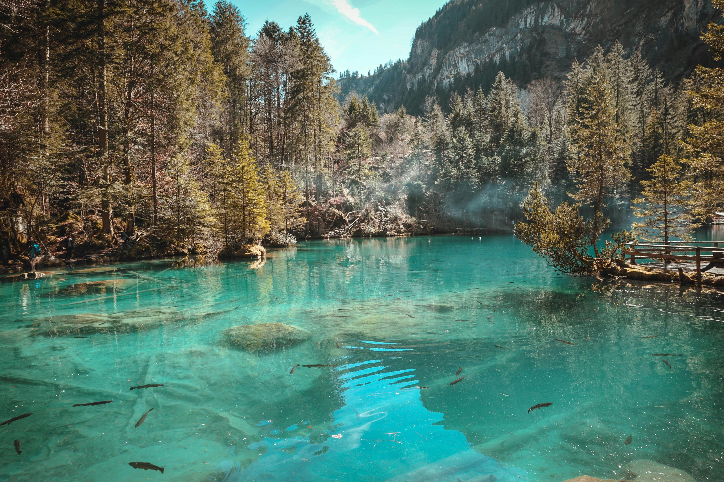 Blausee, Thun & Bern - Privater Van ab Montreux