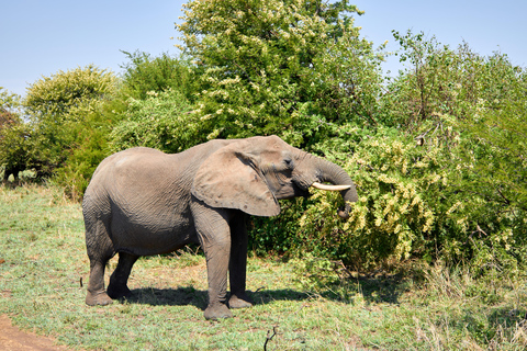 Arusha: 3-Day Serengeti Safari with Accommodation