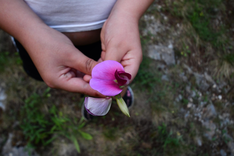 Peloponnese: Menalon Hiking & Archery Lesson Private Tour