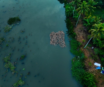 Kumarakom: Sunset Cruise with Village Life and Local Food