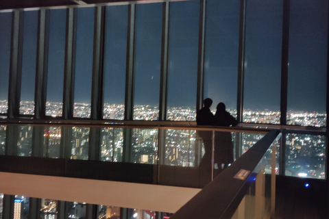 Nagoya: Two Towers, One Night of Urban Elegance