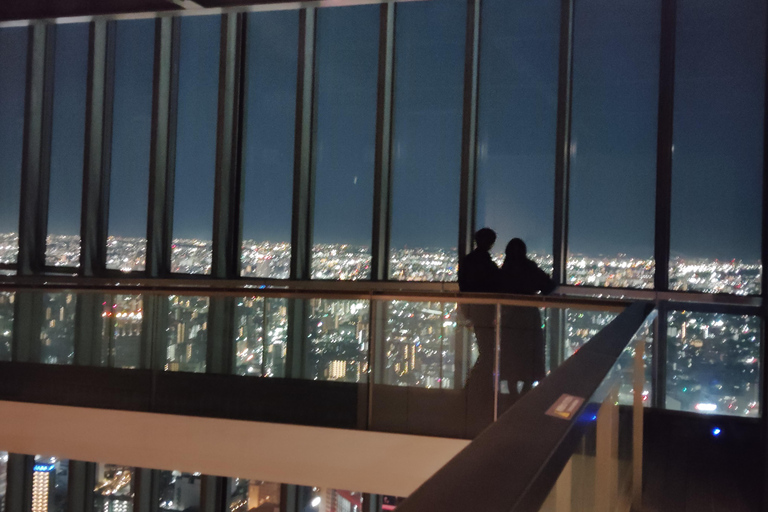 Nagoya: Two Towers, One Night of Urban Elegance