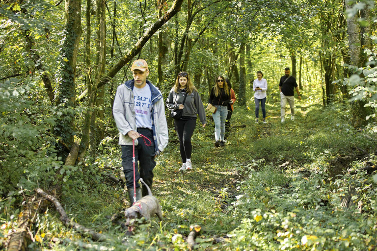 Zagreb Private Truffle Hunting Tour