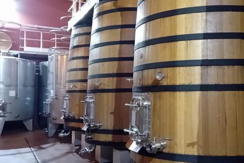 Excursão a Ribera del Duero: 2 adegas com transporte a partir de MadridExcursão à Ribera del Duero: 2 adegas com transporte saindo de Madrid