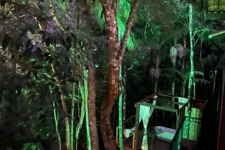 Da Rio: ritiro ecoturistico di 4 giorni con trasferimenti e cabineDa Rio: 4 giorni di eco-turismo con trasferimenti e alloggio in bungalow