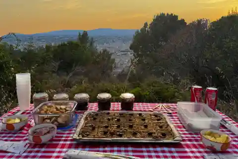 Nice: pôr do sol e degustação de vinhos em Defender com vista panorâmica