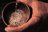 Expérience de dégustation Mahahual, Authentic Mezcal & Tequila - Housity