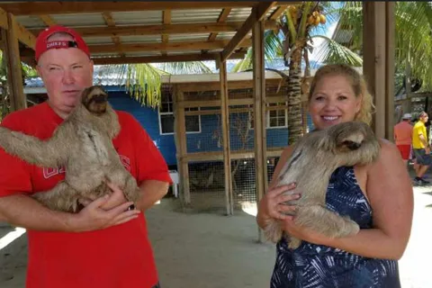 Roatan Sloths + Iguana