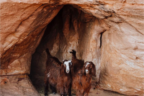 Wadi Rum: Hidden Valleys Tour with Bedouin Lunch